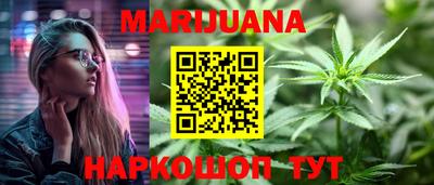 сатива Новодвинск