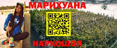 винт Новозыбков