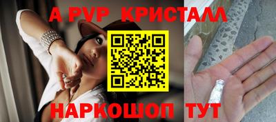 сатива Новодвинск